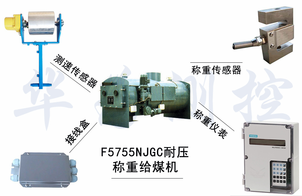 F5755NJGC耐壓稱重（chóng）給煤機